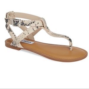 STEVE MADDEN Hidden Thong Snakeskin Sandal Size 6.5